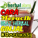 Cara Meracik Obat Herbal Ginjal Komplikasi APK