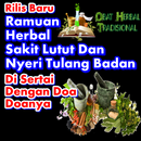 Obat Nyeri Sendi Lutut Tradisional Herbal APK