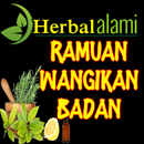 APK Obat Tradisional Jitu Menghilangkan Bau Badan