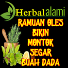 Payudara Sehat dan Kencang Ramuan Herbal Alami أيقونة