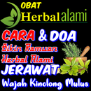 Ramuan Alami Obat Jerawat Kinclong APK