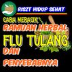 Cara Meracik obat Herbal Flu Tulang & Penyebabnya