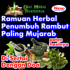 Tanaman Rempah Penumbuh Rambut Alami icono