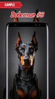 Doberman Wallpaper screenshot 2