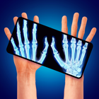 X-Ray Scanner - Metal Detector simgesi