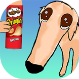 Long Nose The Dog Borzoi