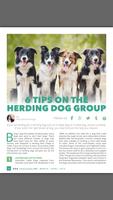 Dog Ownership 101 Magazine syot layar 3