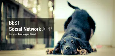 Dogalize - Pet Social Network