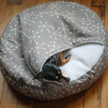 Dog Beds Homesense