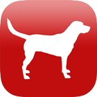 Dog Breed Identifier App by AI icône