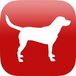 Dog Breed Identifier App by AI