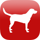 Dog Breed Identifier App by AI APK