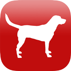 Scan Dog Breed Identifier icon