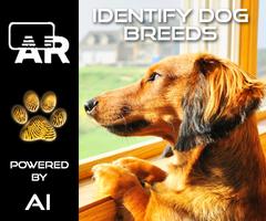 Dog Breed Identifier App by AI Plakat