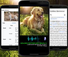 Dog Breed Identifier App by AI capture d'écran 1