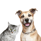 Dog Cat Animal Sounds icon