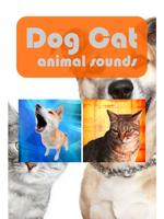Dog Cat Animal Sounds plakat