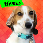 Animated Stickers Dog Cat Meme アイコン