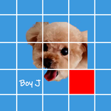 記憶拼圖 PetTu APK