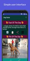 1000+Dog Facts Affiche