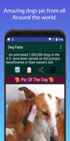 1000+Dog Facts capture d'écran 2