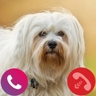 ikon Fake dog call