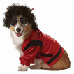 roupas de moda para cães