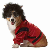 dog fashion clothes icon
