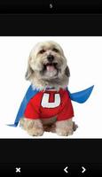 برنامه‌نما dog fashion clothes عکس از صفحه