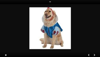 برنامه‌نما dog fashion clothes عکس از صفحه
