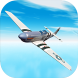 Dogfight 1943 Flight Sim 3D