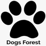dog forest