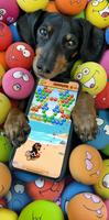 Crusoe Squeaky Ball Bubble POP poster