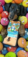 Crusoe Squeaky Ball Bubble POP الملصق