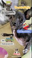 FreddieMojis - Cute chihuahua Emojis Dog Stickers Affiche