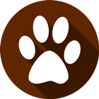 Doggie Education icône