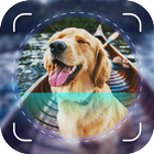ikon Dog Scanner: Breed Identifier