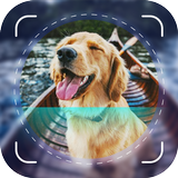 Dog Scanner: Breed Identifier APK