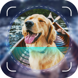 Dog Scanner: Breed Identifier