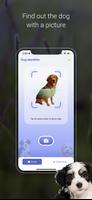 Dog Scanner: Breed Identifier captura de pantalla 2