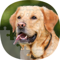 Puzzle Hunde Spiele