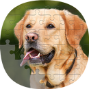 Jeux de puzzle de chien APK