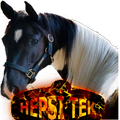 HEPSİ TEK