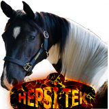 HEPSİ TEK icon