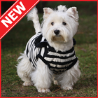 Dress Up Dogs - Dog Clothes Patterns Ideas icône