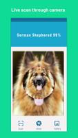 Identify Dog breeds -BreedSnap ภาพหน้าจอ 1