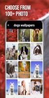 dogs wallpapers スクリーンショット 2