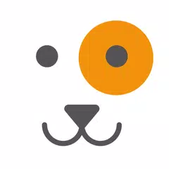 DogsTV XAPK download