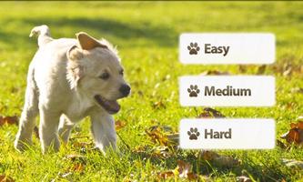 Dogs Memory Game Free تصوير الشاشة 1