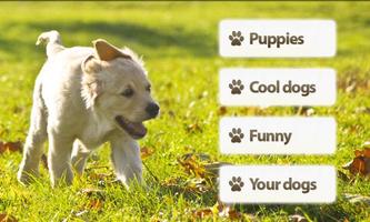 Dogs Memory Game Free 截图 2